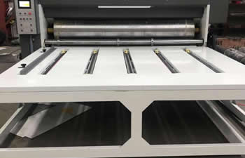 Impresora ranuradora flexográfica
